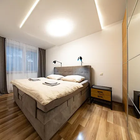 S Wellnes Apartmán *