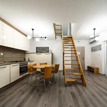 S Wellnes Apartmán *