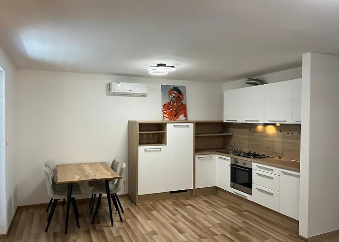 Apartament S Wellnes