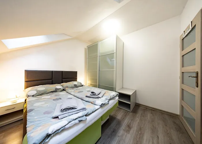S Wellnes Apartament *